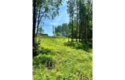Tbd4 Destination Drive, Nevis, MN 56467