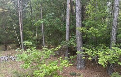 320 Dewdrop Drive, Ridgeway, SC 29130