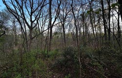 101 Sugarmill Lane, Moore, SC 29369