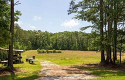 1081 ABEL ROAD, DELTA, AL 36258