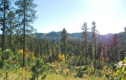 Lot 16 Dynasty Road, Lead, SD 57754