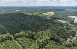 0 Sinquefield Rod, Harrison, GA 31035