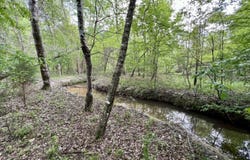 0 County Road 6, Sweet Water, AL 36782