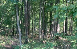 0 Tract 2A Polston Ln, Marthasville, MO 63357