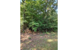 80 acres Calhoun 199 Road, Hampton, AR 71744