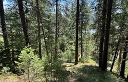 9810 Brian Way lot: 14, Smith's Ferry, ID 83611
