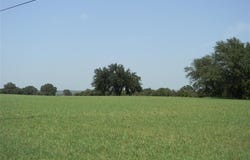 162 Pr 2162, Iredell, TX 76649