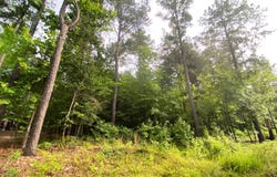 209  Eagle Pine Ln, Broken Bow, OK 74728