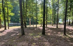 411 Columbine Dr, Jacksons Gap, AL 36861