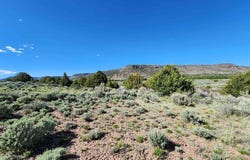 Conejos River Trails lot: 10, Antonito, CO 81120