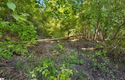 Lot 27 Bunker Hill Road, Williamsburg, MI 49690