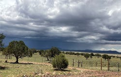 299 Markham Pass unit: 299, Seligman, AZ 86337