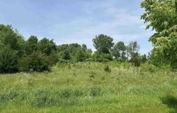 29036 Biehn Drive, Madison Lake, MN 56063