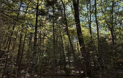 266 Mountain Road, Washington, ME 04574