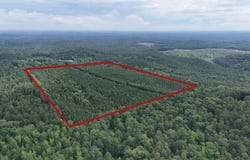 SKYVIEW LAKE ROAD lot: 0, COTTONDALE, AL 35453