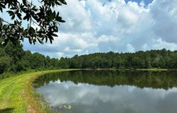 215 Grafton Road, Laurel, MS 39443