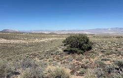 1330 WILD HORSE RUN, Dyer, NV 89010