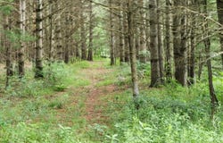 On LUKES HEIGHTS RD, Ogema, WI 54459