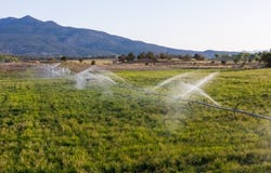 777 County Rd 977, Ignacio, CO 81137