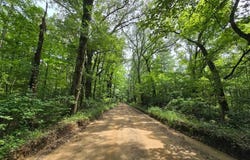 3 TBD Blackfork Ln, Hodgen, OK 74939