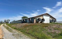 40 Shaw Cemetery Rd, Sidney, AR 72577