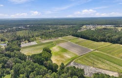Willis Farm (68ac All 3 Lots), Newport, NC 28570