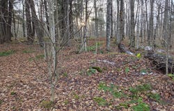OFF FOREST ROAD 3979, Watersmeet, MI 49969