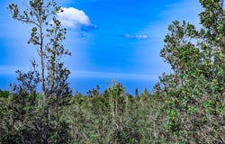 92-9123 HAWAII BLVD, Ocean View, HI 96737