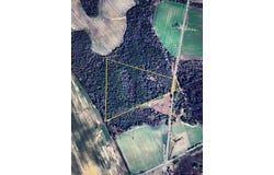 20+-ac Coot Adams Rd, Ashford, AL 36312
