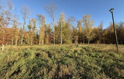1728 Blaketon Drive, Walker, MI 49534
