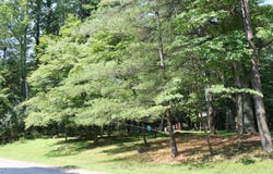 Reserve A Osage Lane, Hide A Way Hills, OH 43107