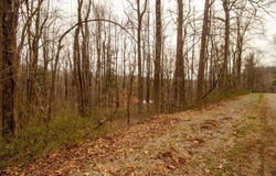 Scotch Pine Dr lot: 356, Copper Hill, VA 24079