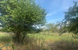 S Choctaw St, Shamrock, TX 79079