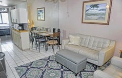 20893 HAULOVER Cove, LUTZ, FL 33558