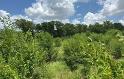 Drummond Area, Drummond, OK 73735