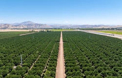 Alta Avenue, Reedley, CA 93654