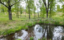 8065 Gourley Road, Mountain Grove, MO 65711
