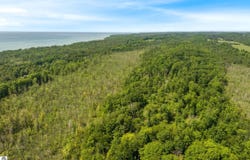 Tyrrell Beach Road, Ellsworth, MI 49729