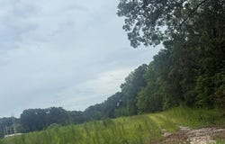28+/- Ac Old Dale Rd, Eufaula, AL 36027