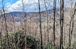 Dodgen Ridge Road, Tuckasegee, NC 28783