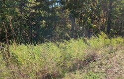 Murphy Drive lot: 13, Bella Vista, AR 72715