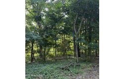 Lot 8 Catoosa Woods Drive, Lancing, TN 37770