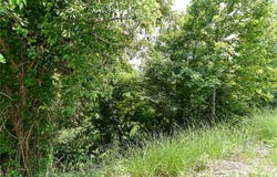 The Vines Boulevard lot: 9, Marshall, NC 28753