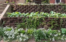 706 YALE AVENUE, BALTIMORE, MD 21229