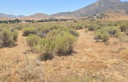 426-390-26 Flycatcher, Weldon, CA 93283