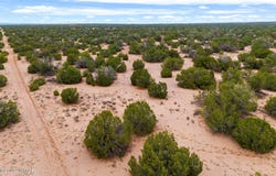 Witch Well Ranches lot: 3, St. Johns, AZ 85936