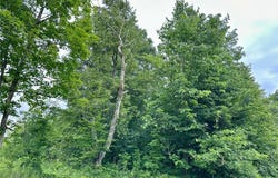 Lot 11 Block 1 Opah's Landing, Aitkin, MN 56431