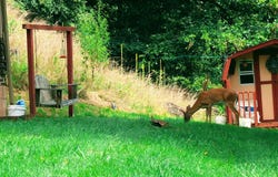 2056 Honey Camp Road, Clintwood, VA 24228