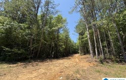 HIGHWAY 191 lot: 1, MAPLESVILLE, AL 36750