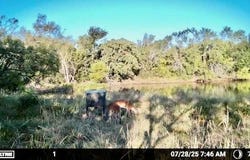 N/A Wayland Ranches, Breckenridge, TX 76424